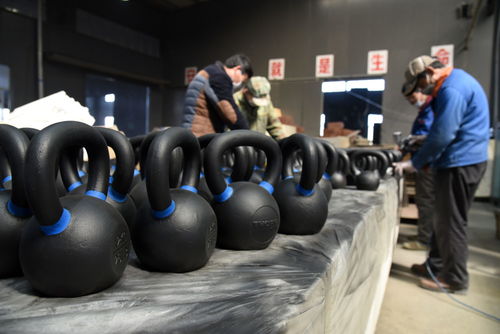 健身器材生产经济 从本土制造到出口创汇过亿的崛起之路